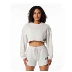 Alphalete very terry crop sweater